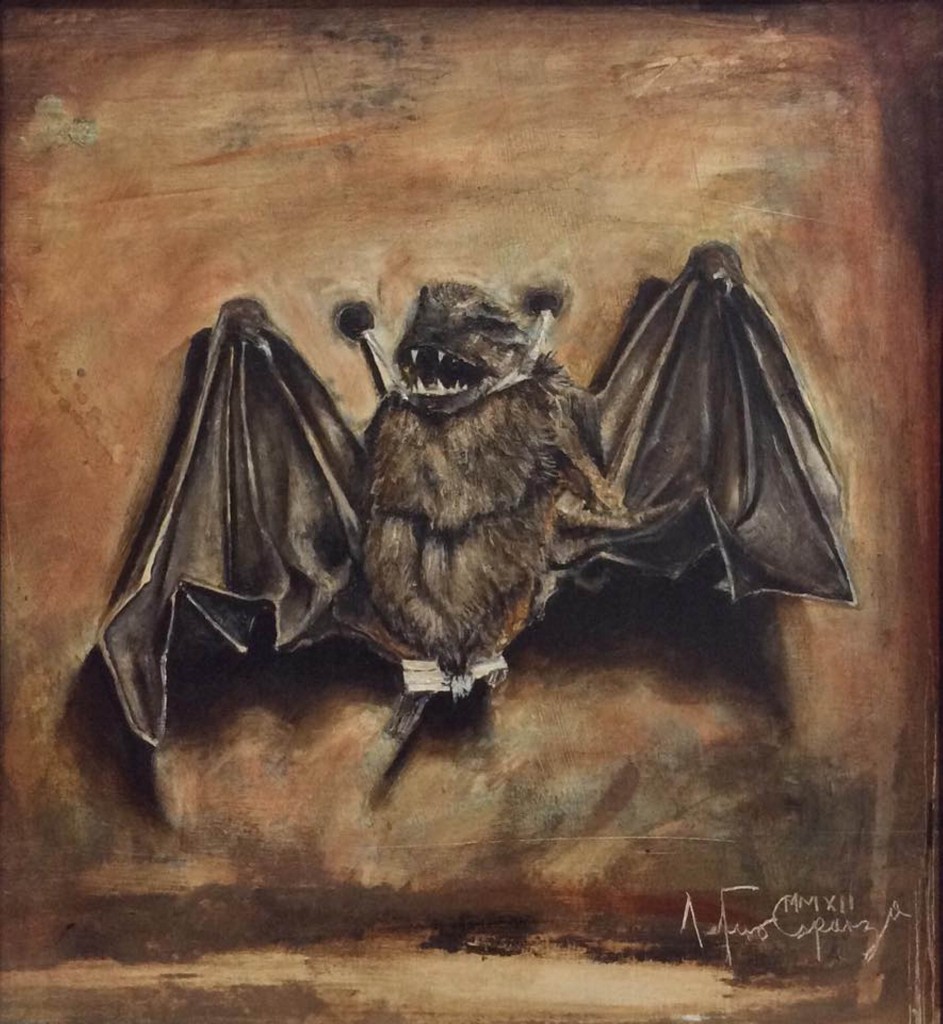 arturo-esparza-mariposa-desnuda