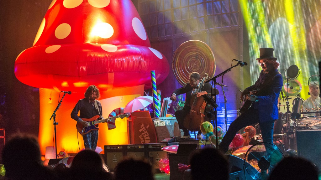primus-and-the-chocolate-factory-by-maria-ives1