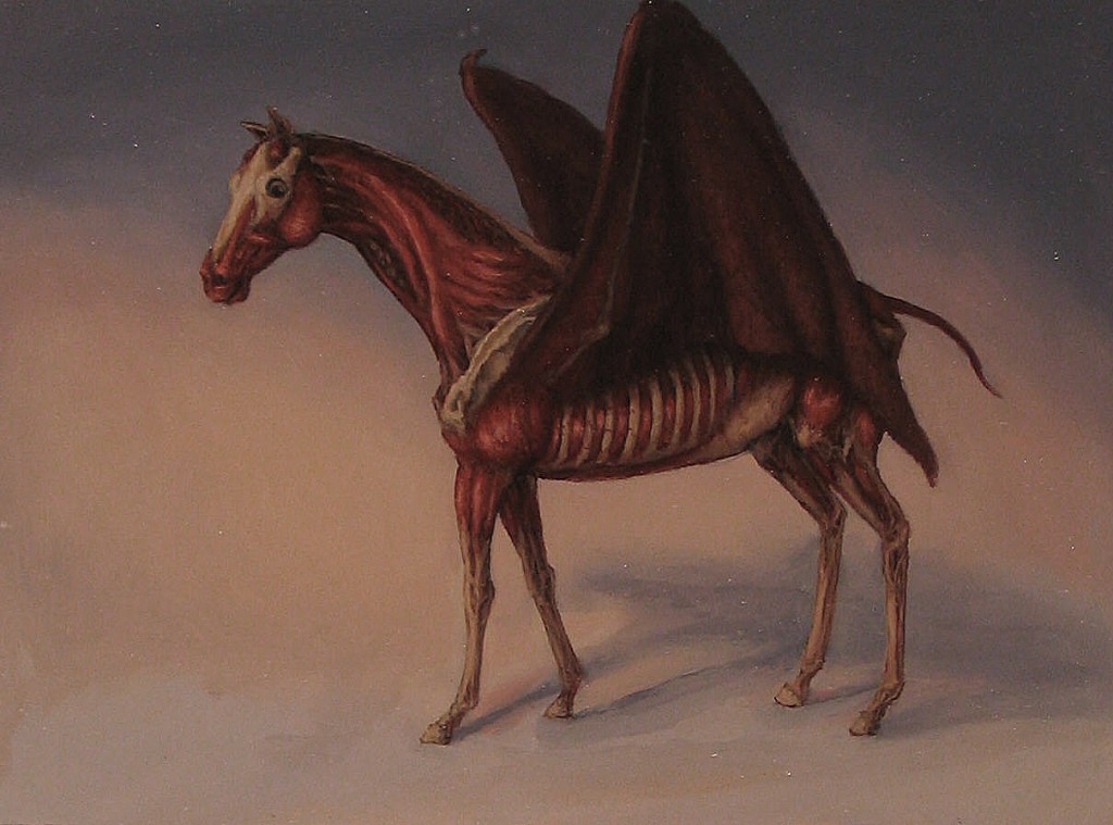 sandra-yagi-pegasus2