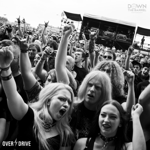 crowd5