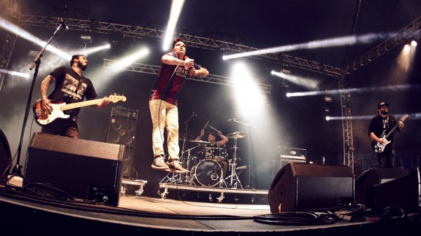 Stray live