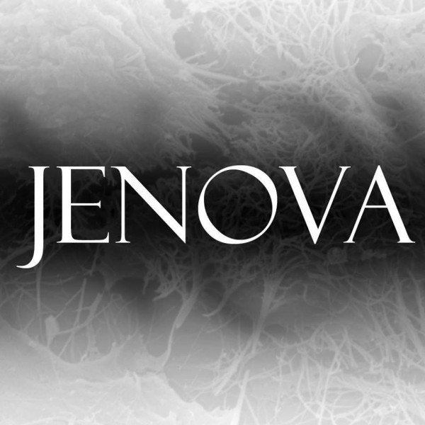 JENOVA LOGO