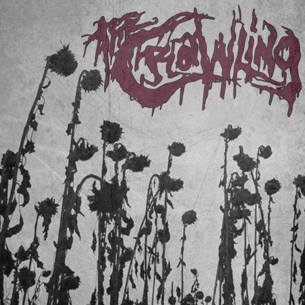 theCrawling