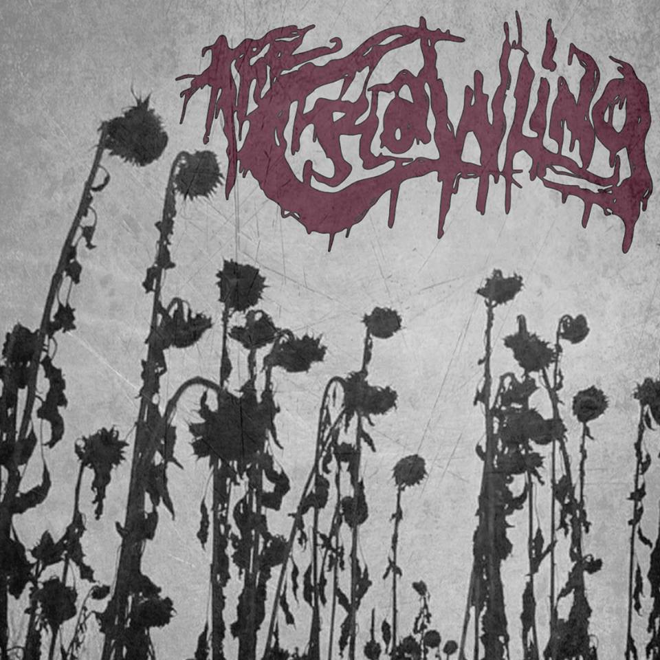 theCrawling