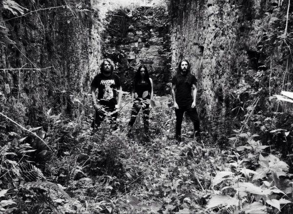 COLTSBLOOD