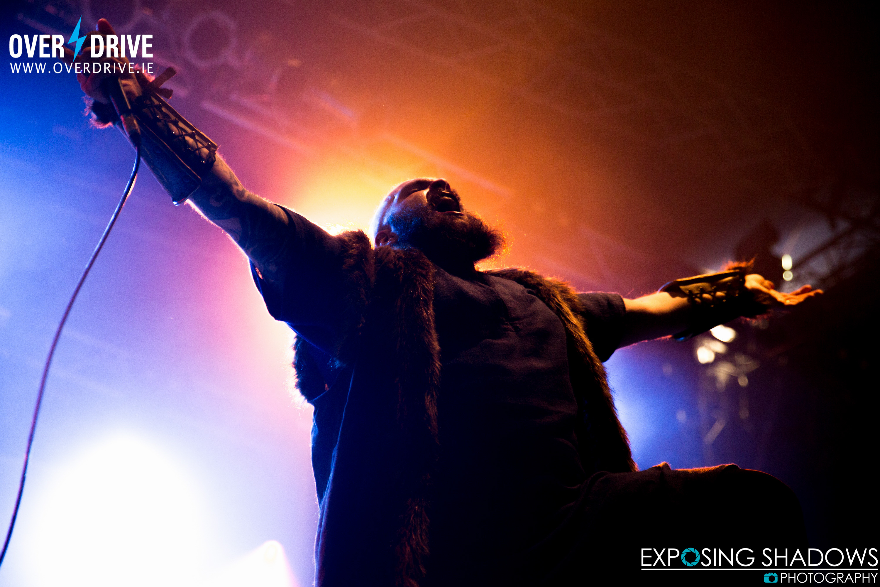 wind_rose-3