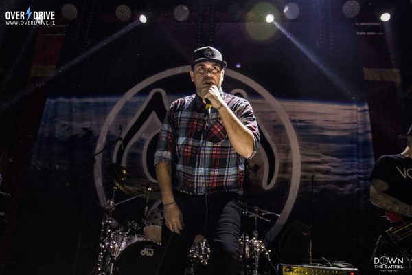 wAlien Ant Farm 090