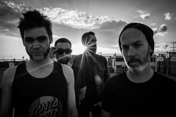 mammal band